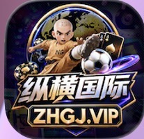 纵横天下
